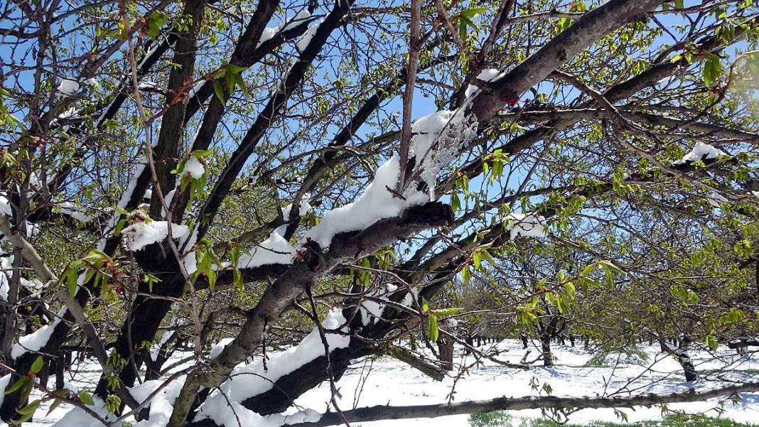 Tarımda tarihin en büyük felaketi yaşanıyor! Meyve, sebze fiyatlarında rekor artış yaşanacak 26